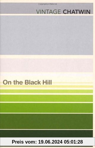 On The Black Hill (Vintage Classics)